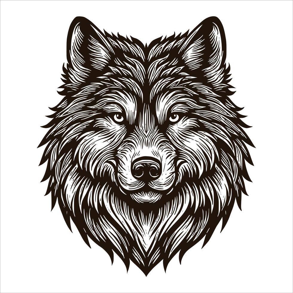 The head of a wolf is shown in a black and white drawing vector