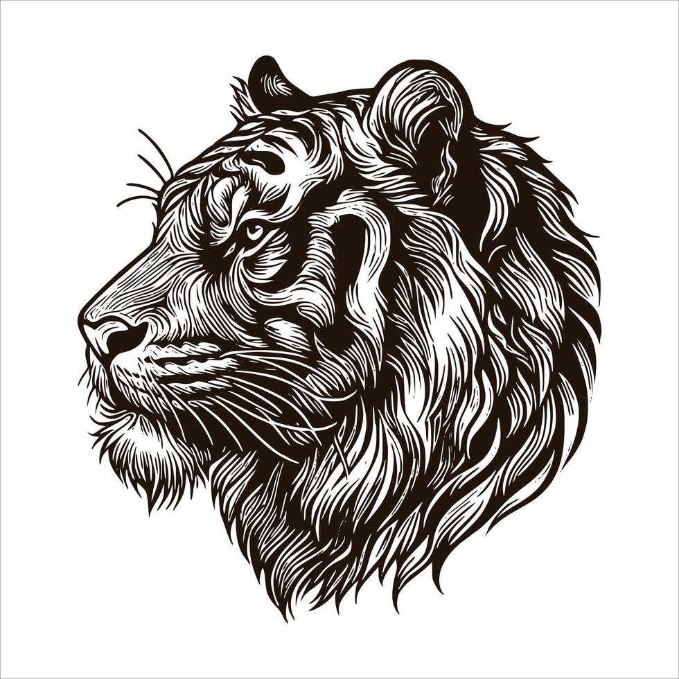 Tiger head illustration vector