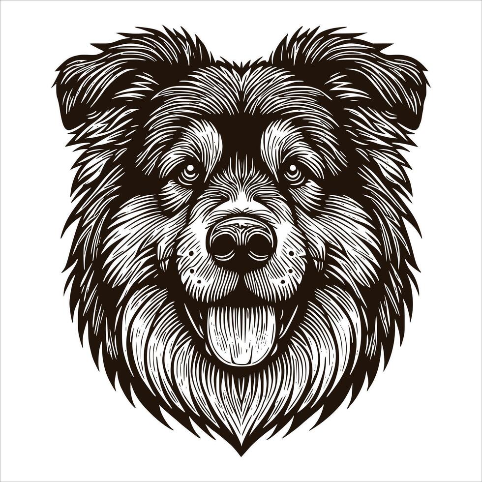 Australian shepherd dog head illustration vector