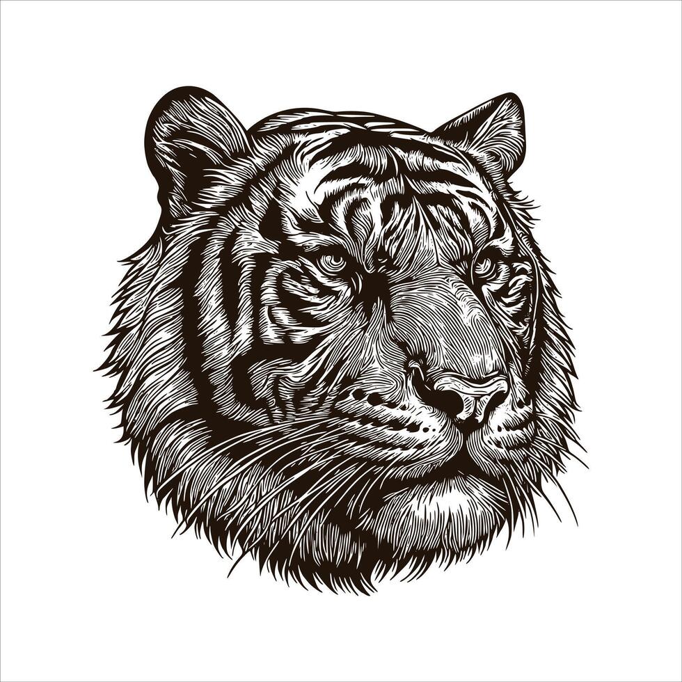 A tiger head in a drawing style vector