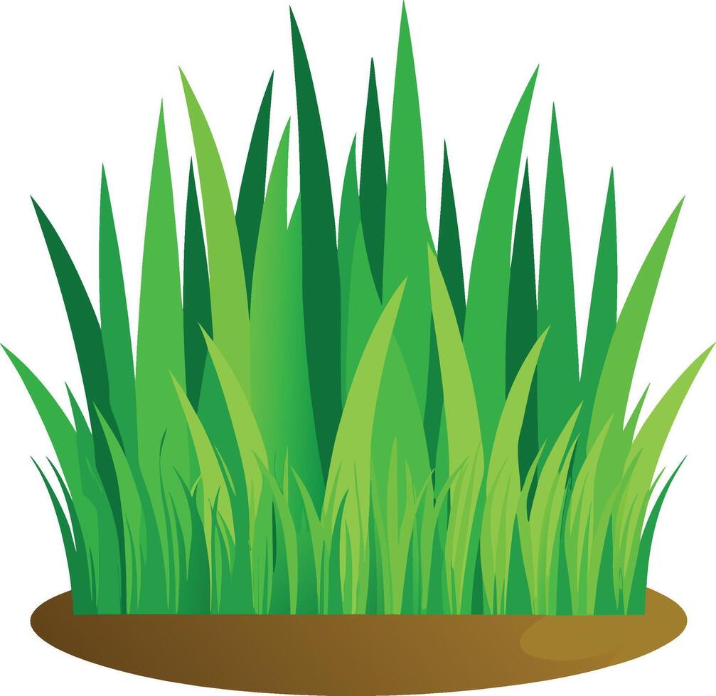 Green grass clipart vector