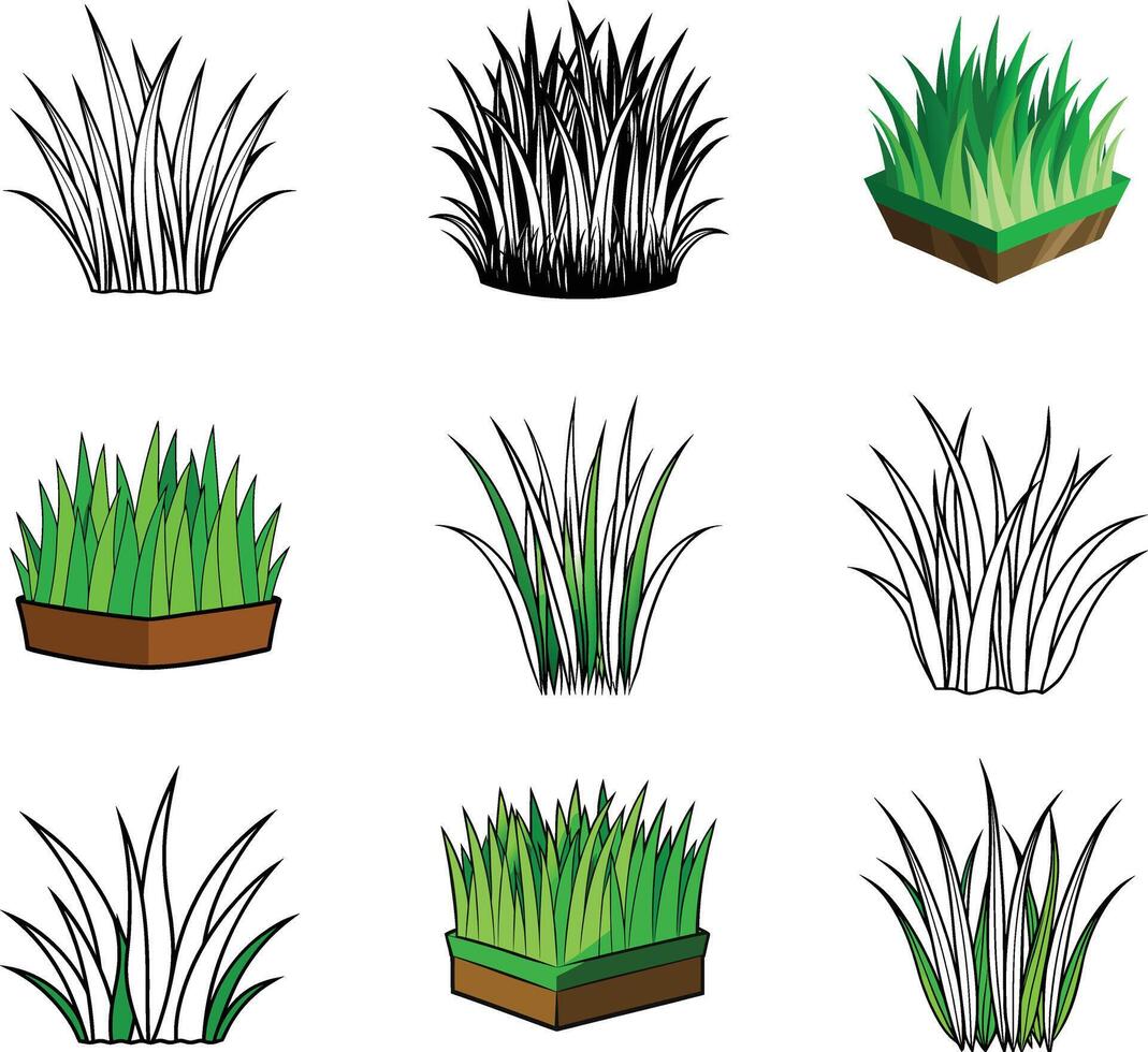 A set of different types of grasses vector