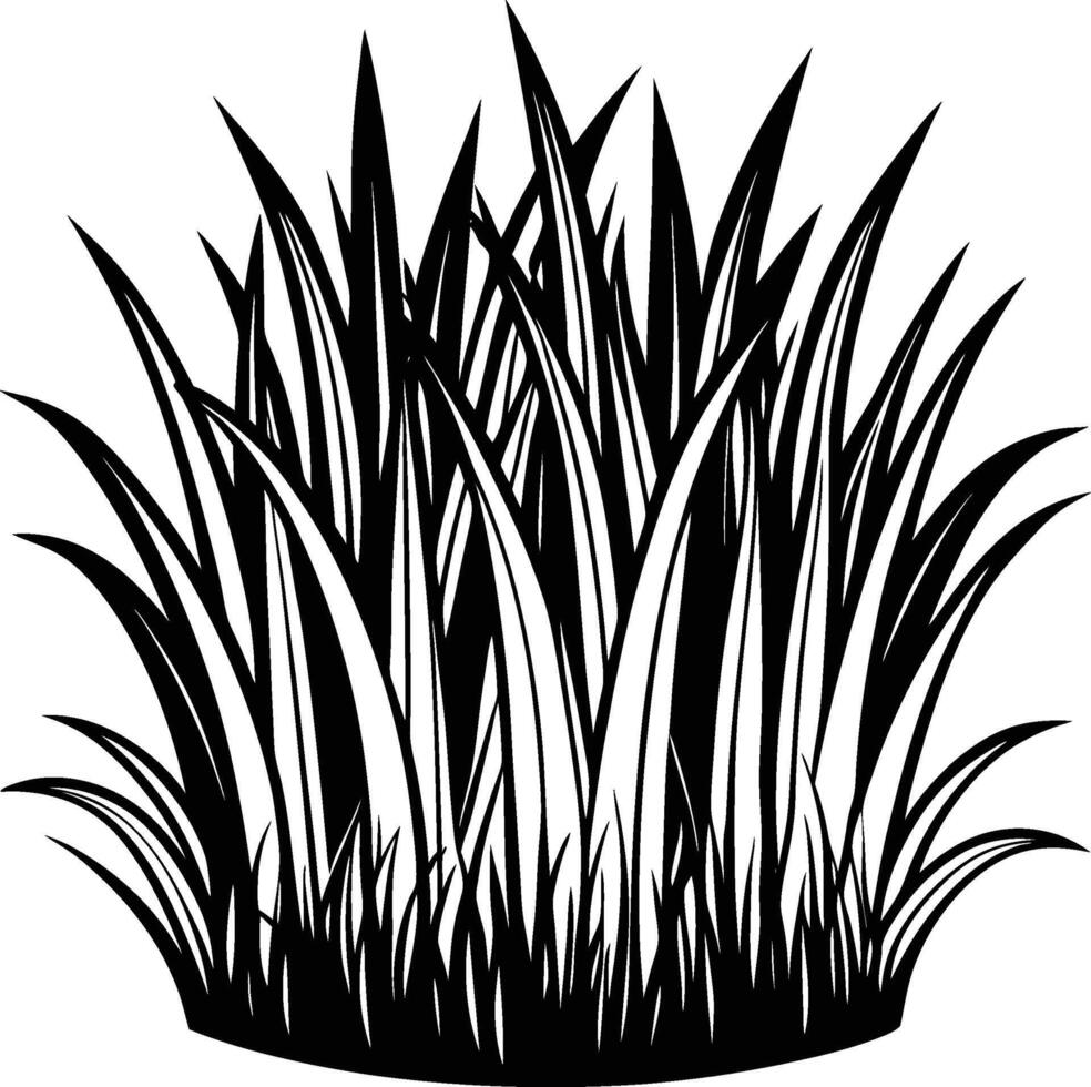 A black and white drawing of grass vector