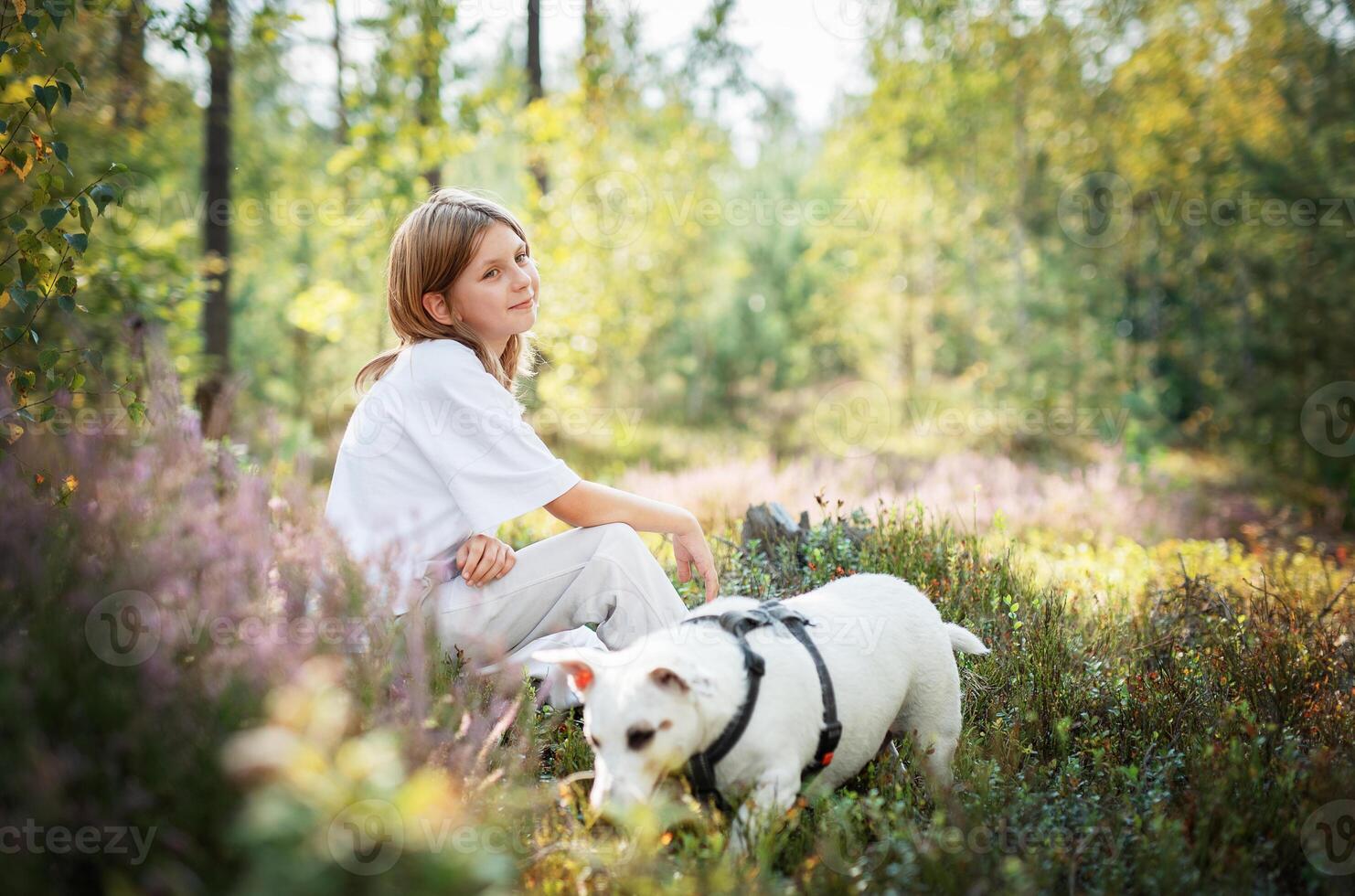 A young child enjoys a peaceful moment in the forest with a playful white dog during a sunny afternoon in nature photo