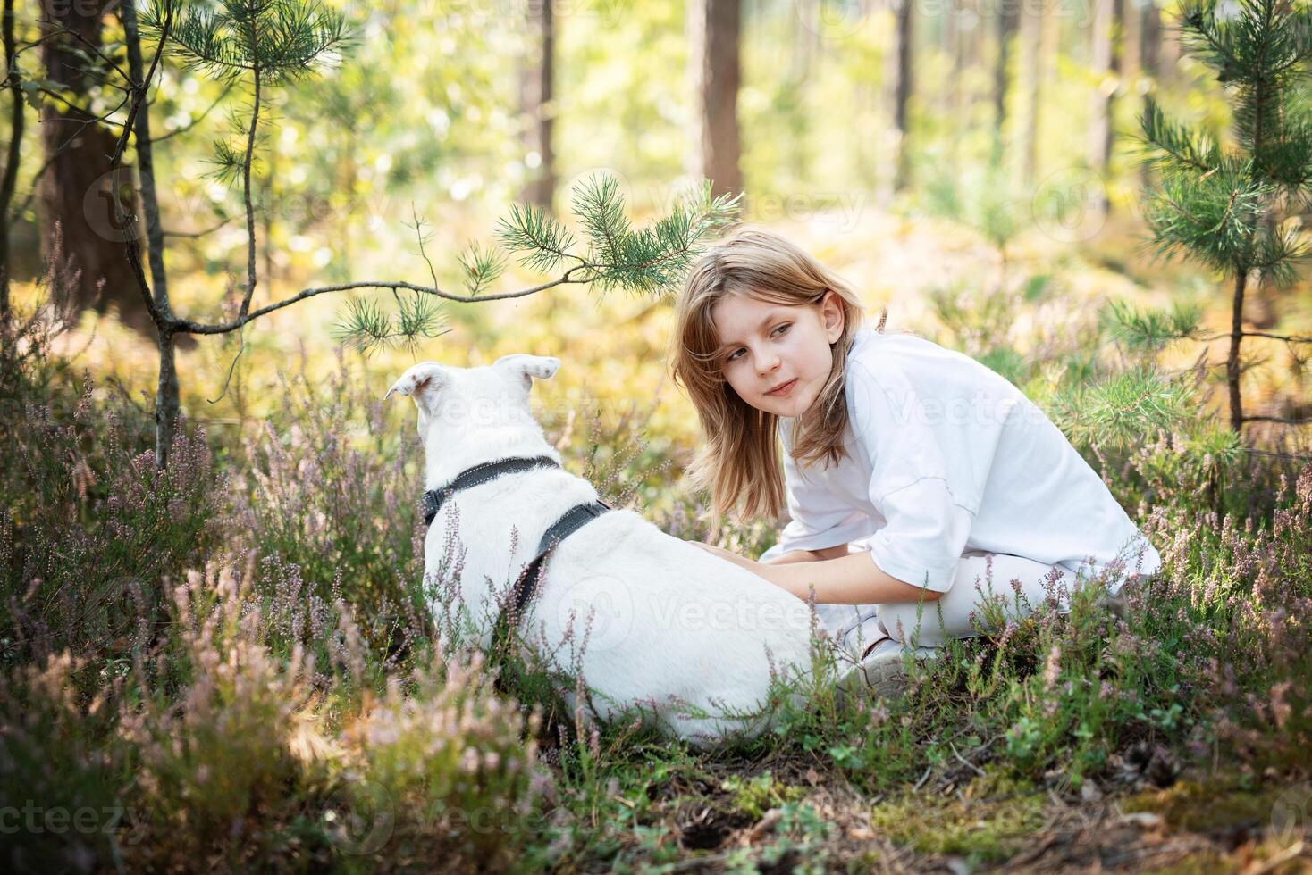 A child relaxing with a dog in a serene forest, surrounded by greenery and blooming flowers on a sunny day photo
