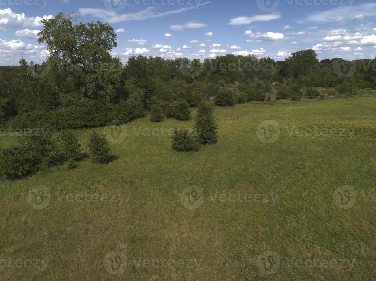 View of a meadow with green grass and trees. View from above. Poland photo