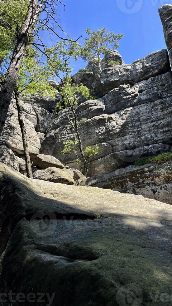 Canyon in Szczeliniec Wielki, Stolowe Mountains in Poland. photo