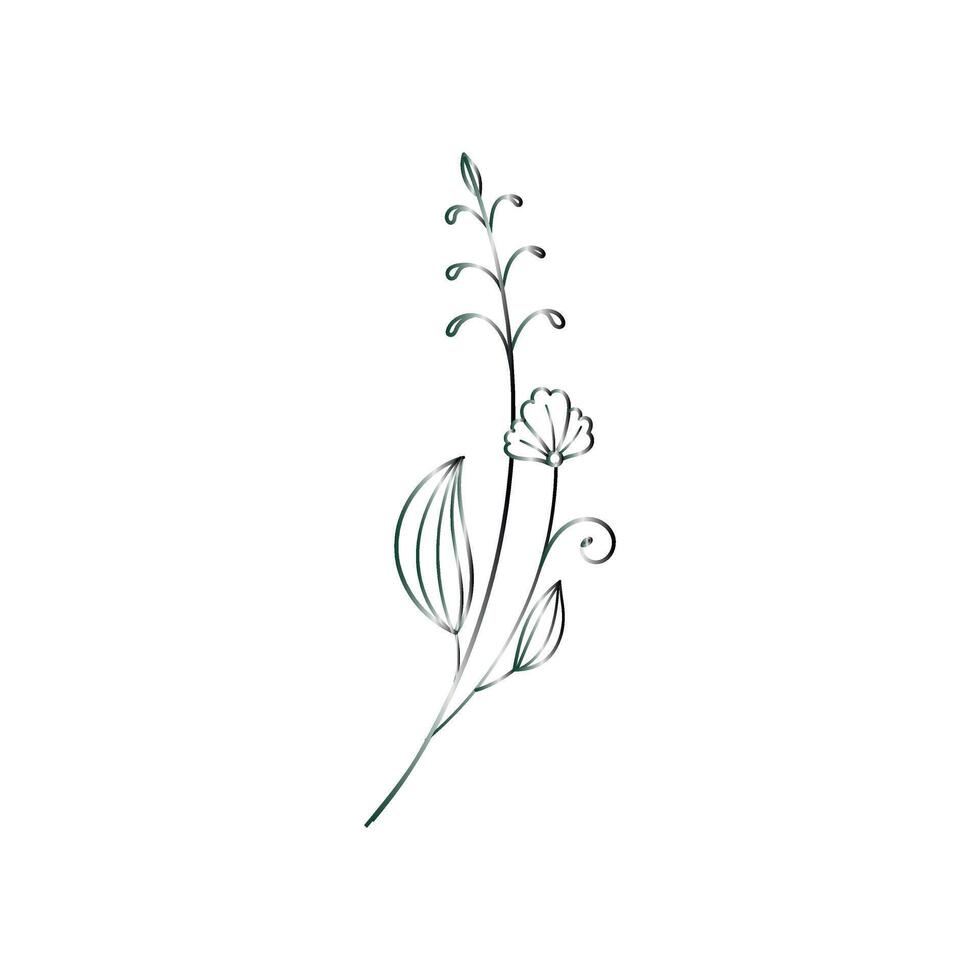 blossom flower and leaves vect design free download vector