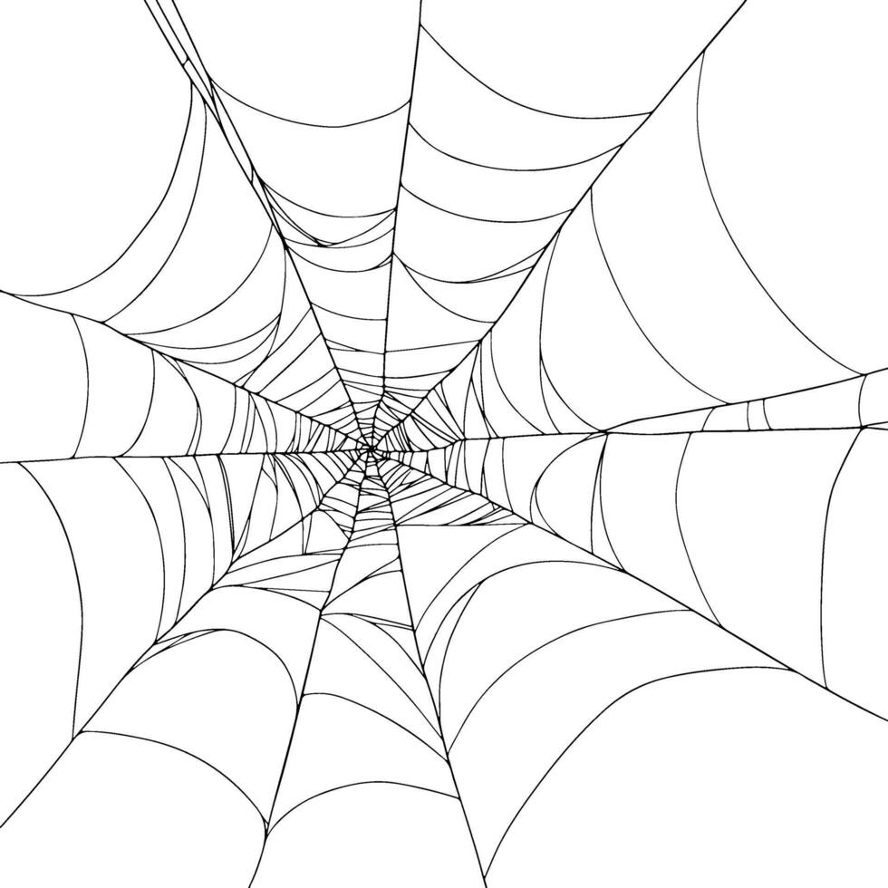 Halloween decor, round Spiderweb hand drawn illustration on white background with Realistic details for horror Autumn event and decorative use vector