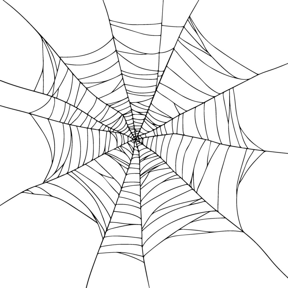 Realistic black Spiderweb, Halloween hand drawn illustration on transparent background vector