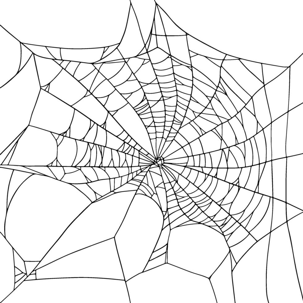 Large hand-drawn Spiderweb on realistic style presented as illustration on a white background. Its versatile design makes it perfect for Halloween holidays, decor, or themed projects vector