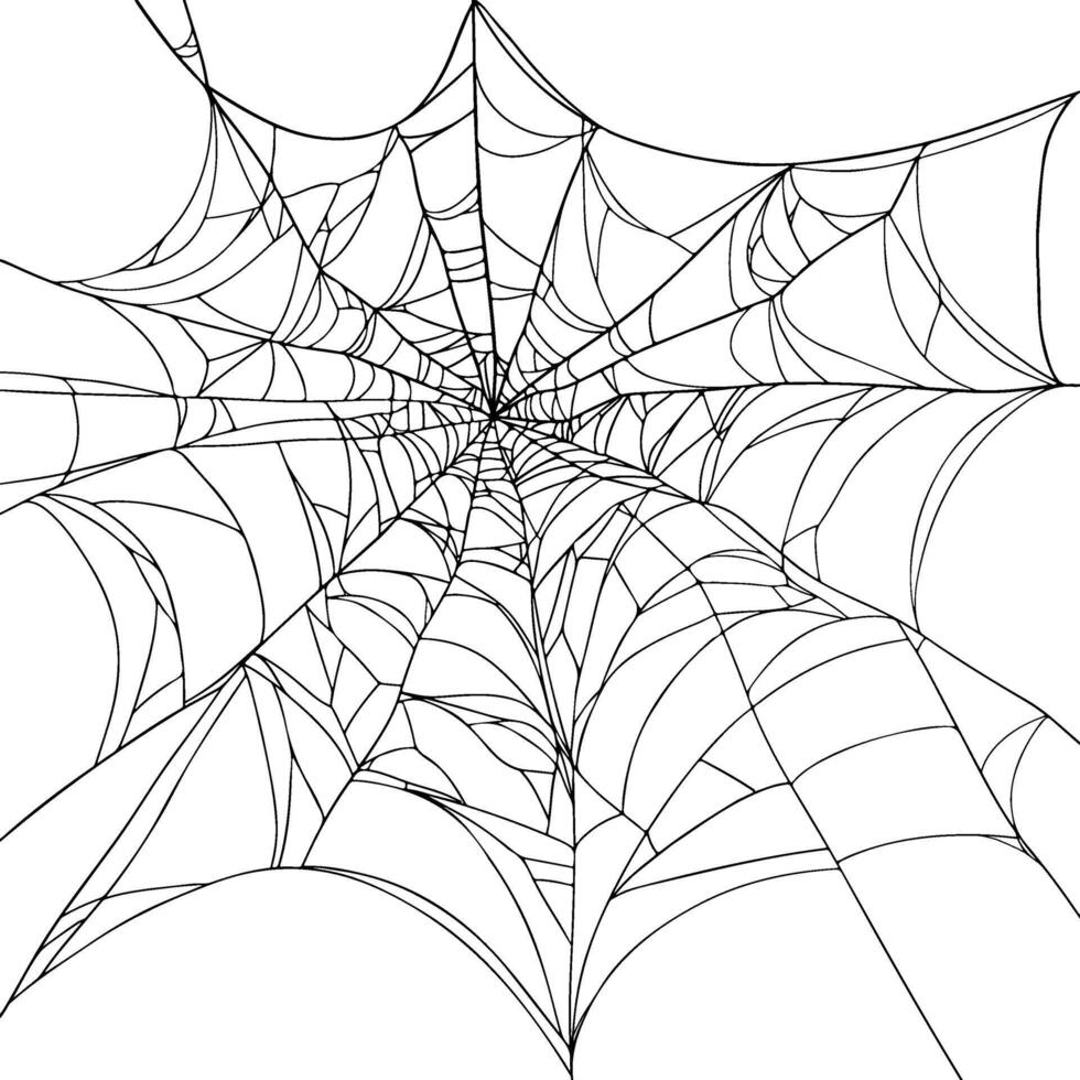 Hand-drawn large black Spiderweb illustration with a realistic effect. The White Background makes it easy to use in Halloween projects or Decorative Designs vector