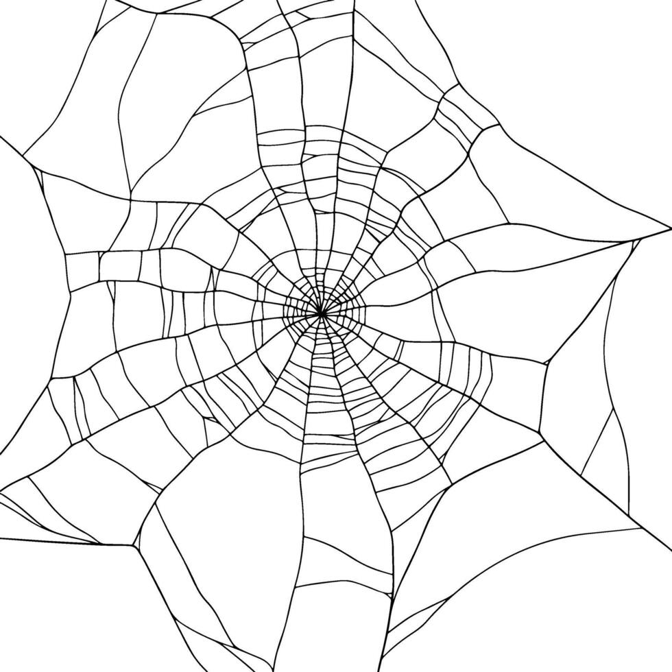 Minimalistic Round Spiderweb hand drawn d Design on white background for Halloween, Horror elements, Spooky accent or Decorative use vector
