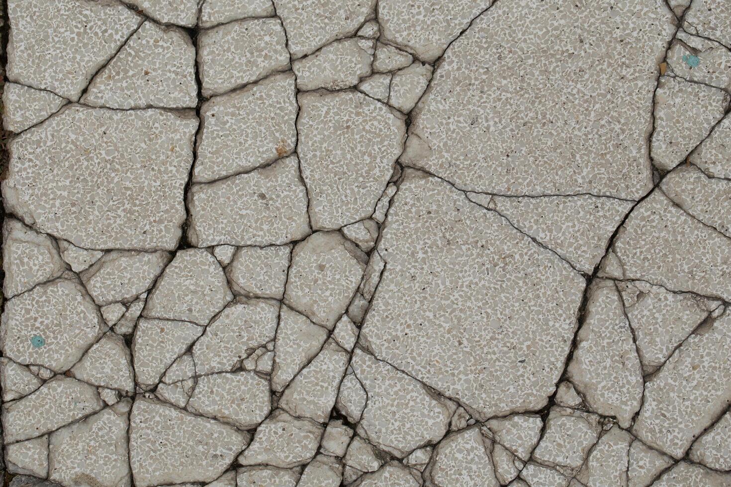 The cracked surface of a concrete structure reveals significant wear and tear. photo