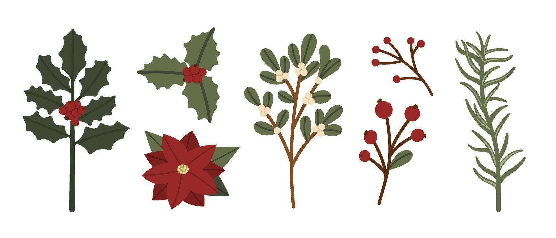 Christmas Botanical Elements Set vector