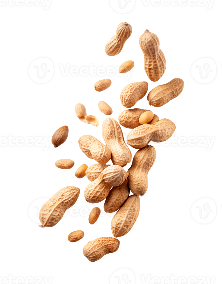 Peanuts scattered on a white background png