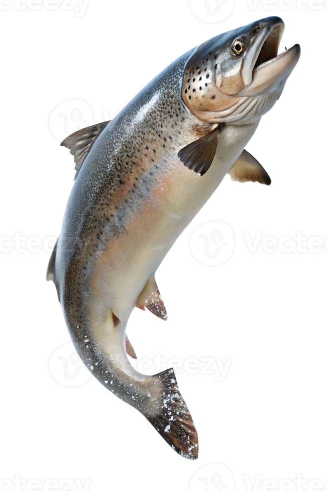 A vibrant trout leaping above clear waters png