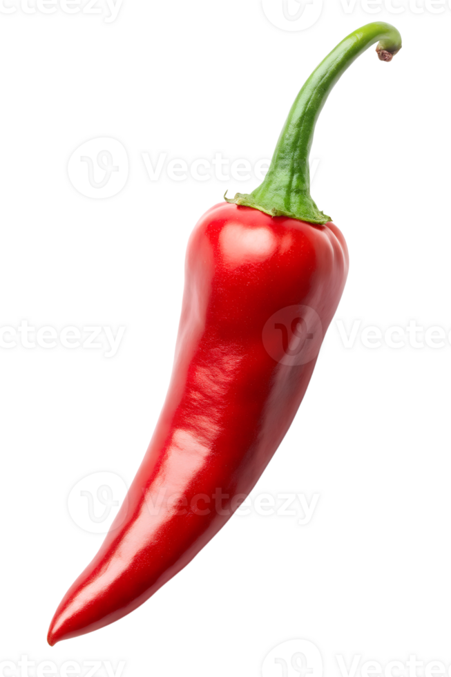 Red chili pepper on white background png
