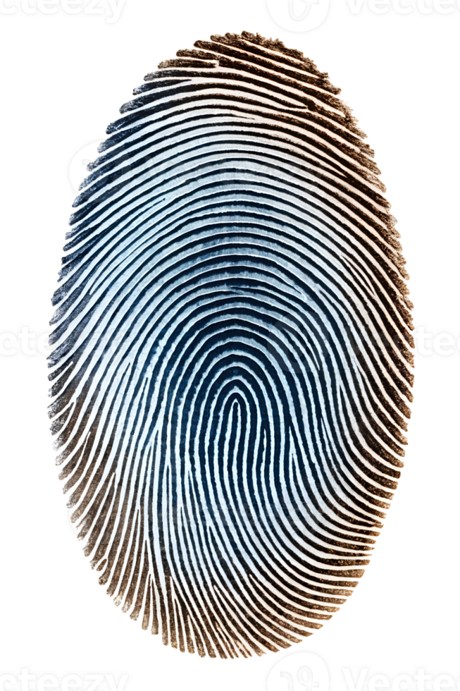 Detailed fingerprint on white background png
