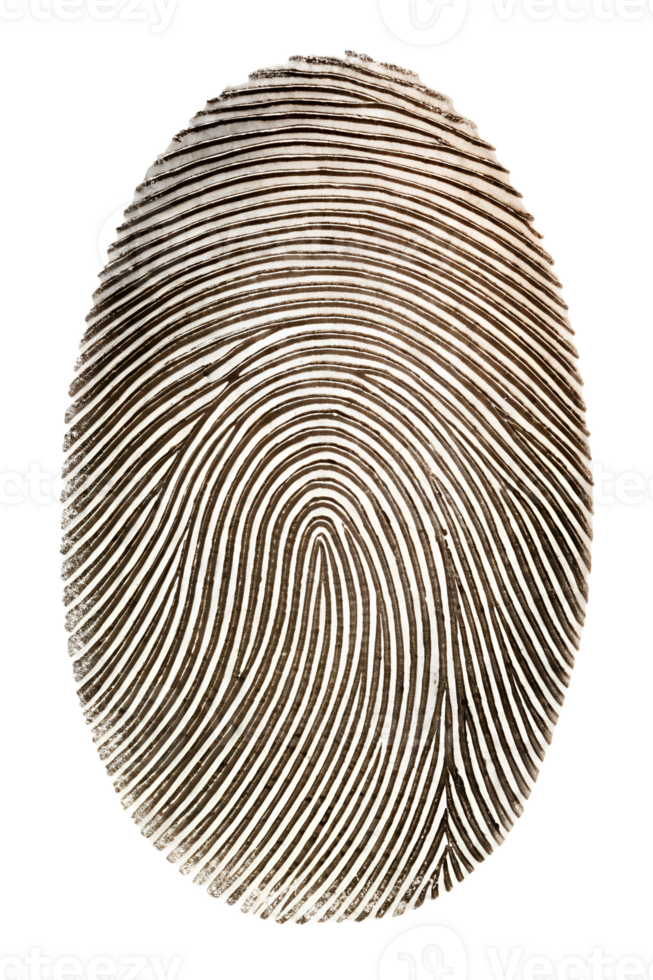 Distinct fingerprint with unique patterns png
