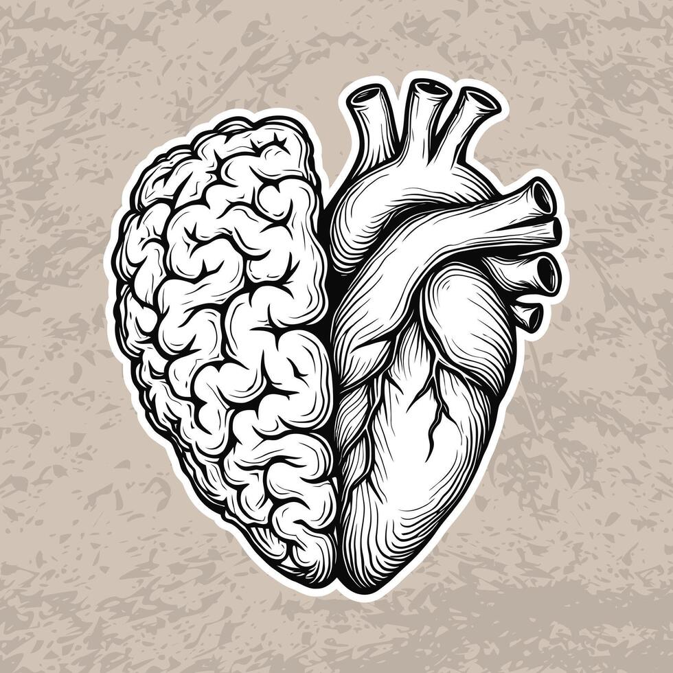 Half Brain Half Heart, Brain Heart illustration, Hand drawn line art human brain and heart, Human Heart And Brain In Black Sticker vector