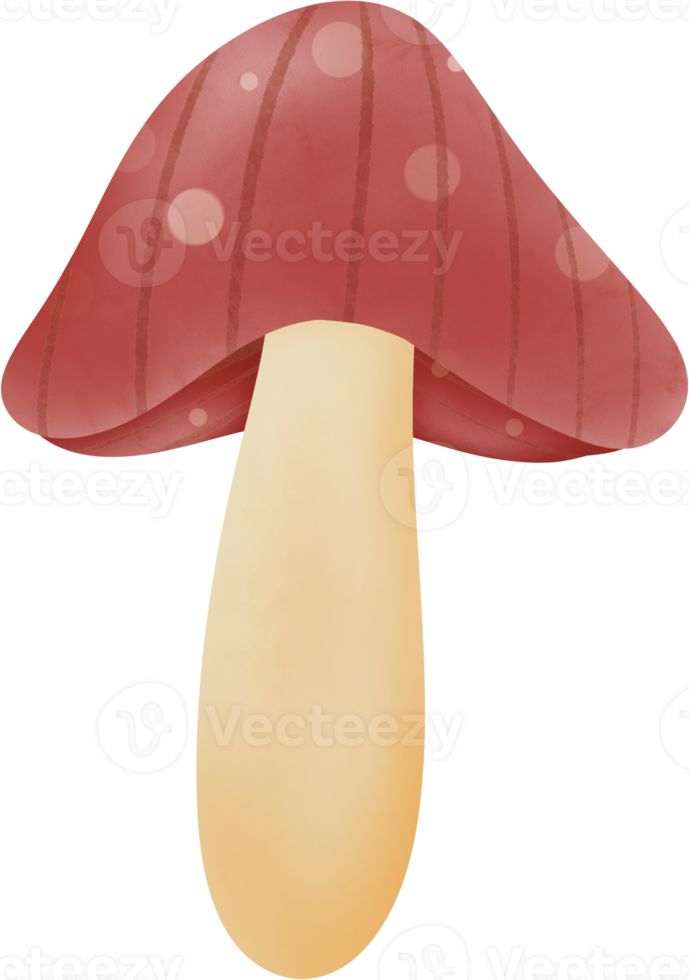 Red mushroom with white spots, Its simple, cartoonish style' png
