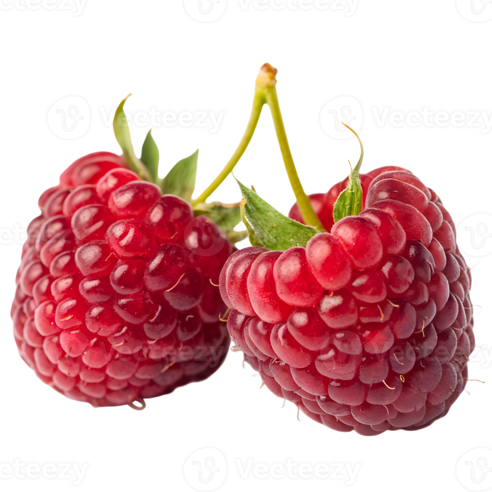 Two ripe raspberries with green stems attached, positioned side by sid png