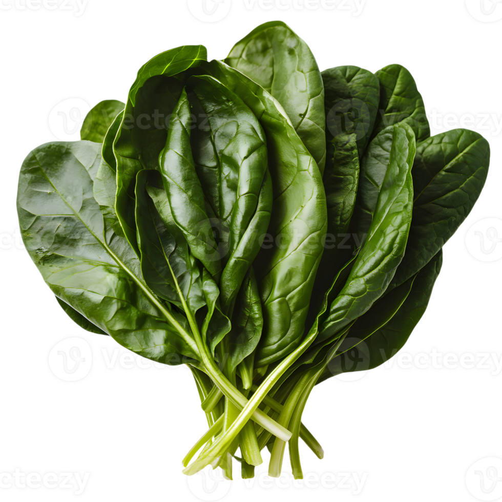 Fresh green spinach leaves, overlapping with veiny texture png