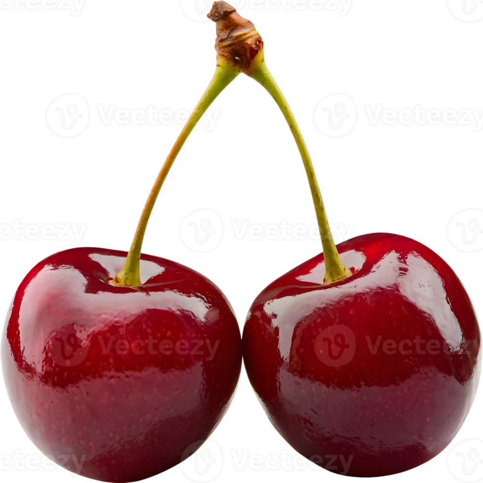 Two ripe cherries attached by stems, reflecting a glossy, deep red sheen png