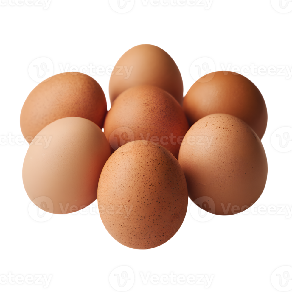 Six brown eggs arranged in a semi circle png