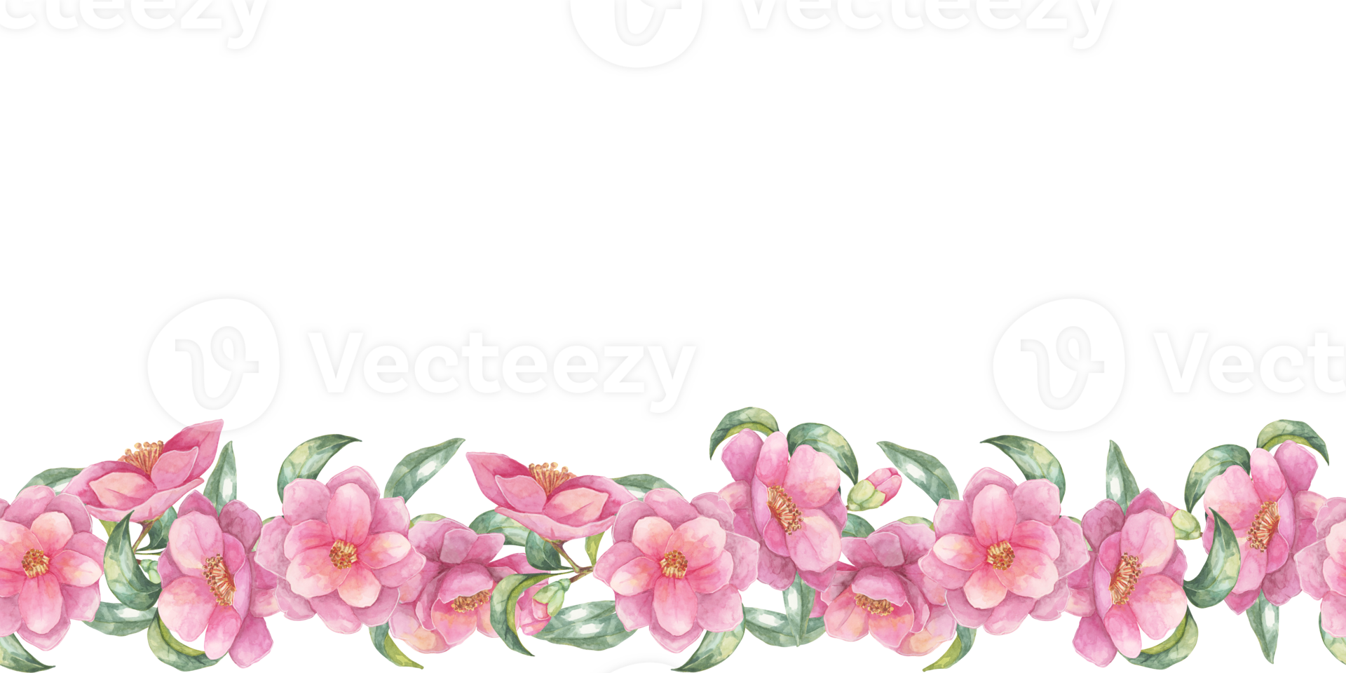 Pink camellia blossoms arranged in a horizontal seamless border are featured in this watercolor clipart. Great for enhancing event invitations, blog headers, and various print materials png