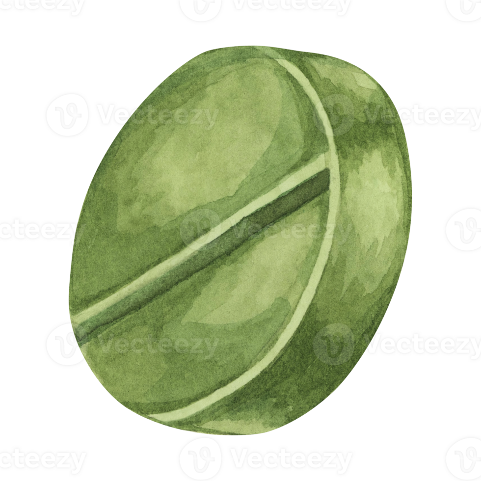 Green pill watercolor clipart displaying a round tablet with a deep green hue and a bisecting line. Perfect for medication packaging, healthcare advertisements, and educational visuals png