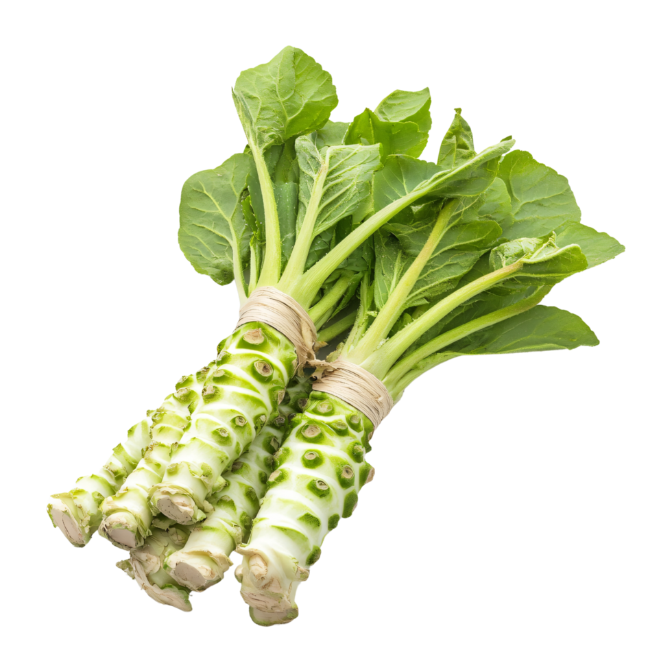 Japanese horseradish wasabi roots condiment isolated on transparent background png