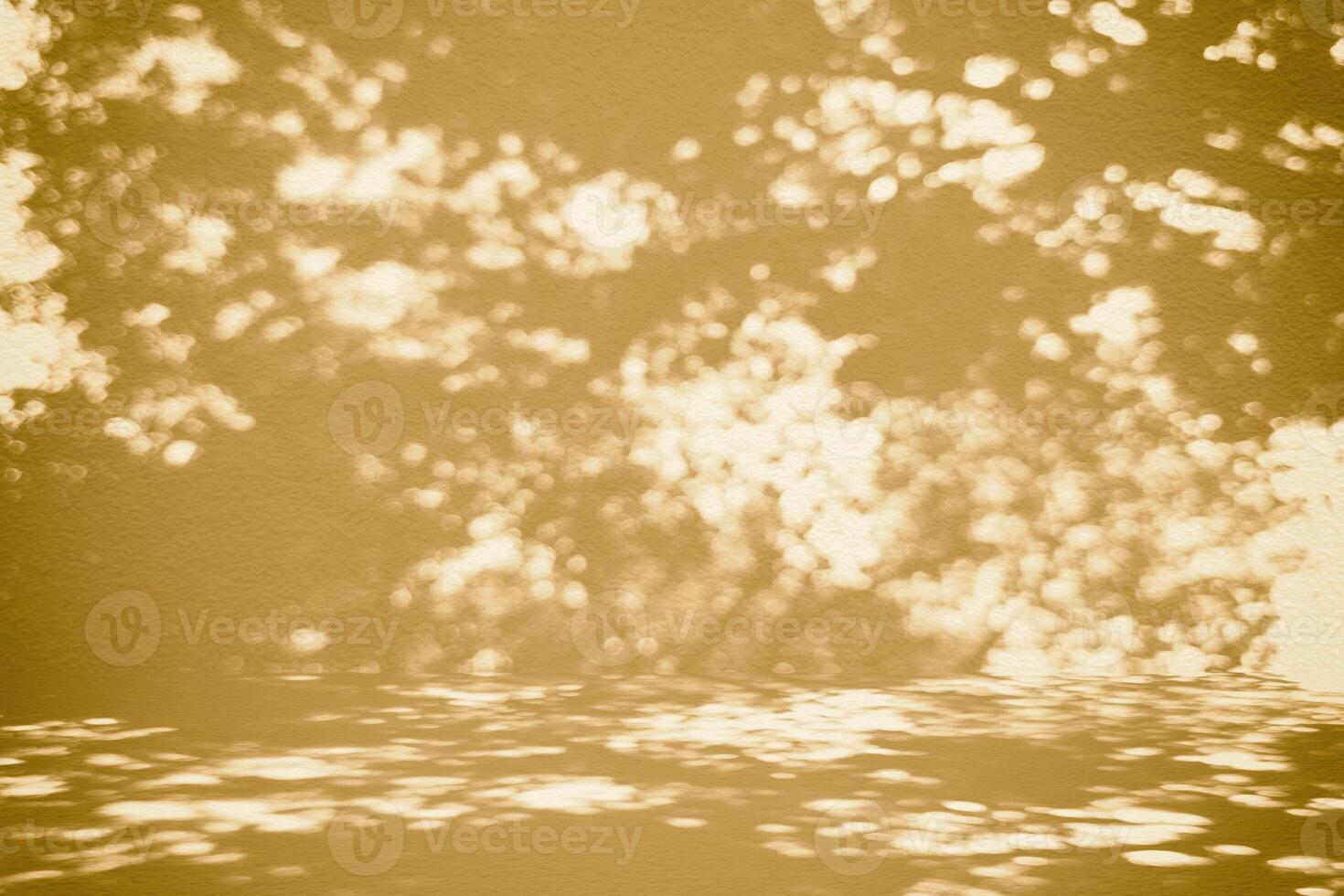 Nature Shadow on Concrete Wall Texture Background with Beige Light and Shadow photo