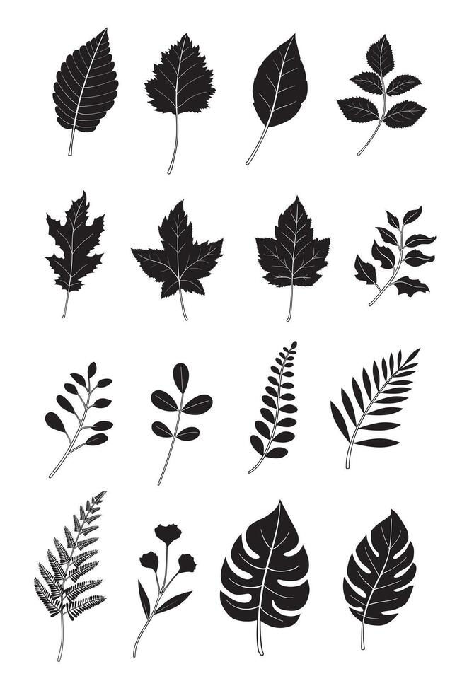 Hand drawn leaves elements set. black silhouette on a white background. vector