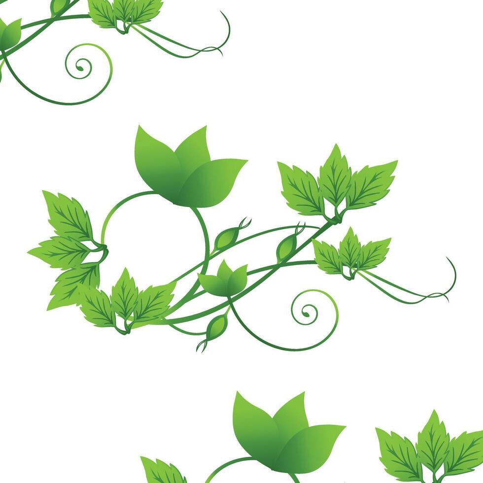 Elegant green vines with leaves and tendrils arranged on a white background showcasing natural beauty and design elements vector