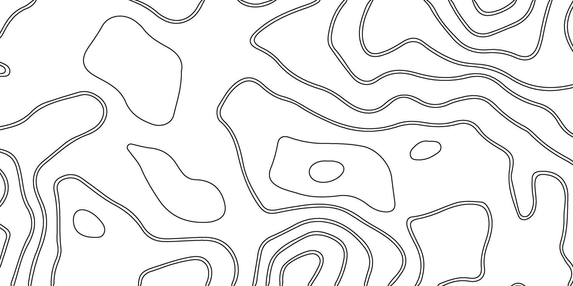 abstract pattern with lines. background of the topographic map. elevation contouring outline cartography texture. geographic abstract grid. futuristic wireframe lands. black and white seamless pattern vector