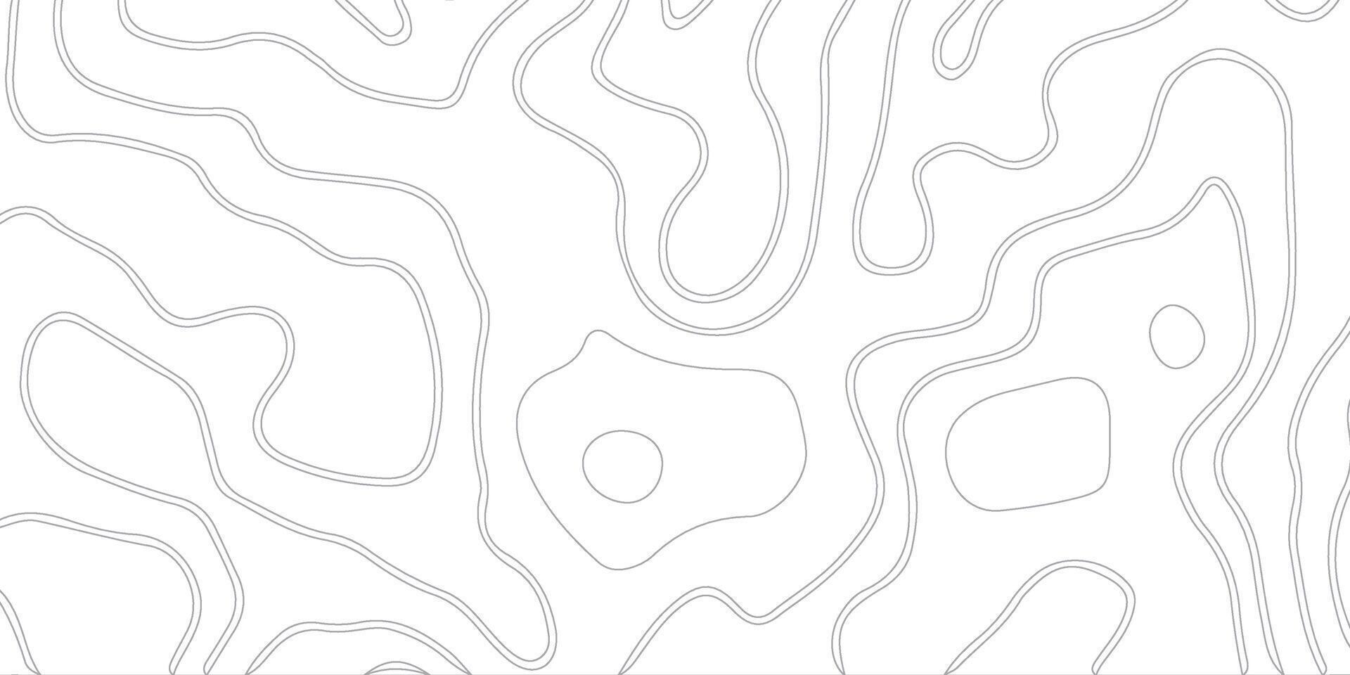 abstract pattern with lines. background of the topographic map. elevation contouring outline cartography texture. geographic abstract grid. futuristic wireframe lands. black and white seamless pattern vector