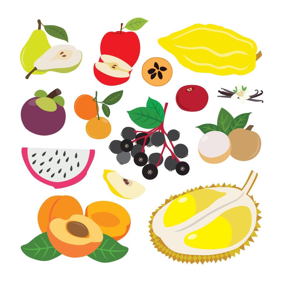 Tropical Fruit Wonders vector