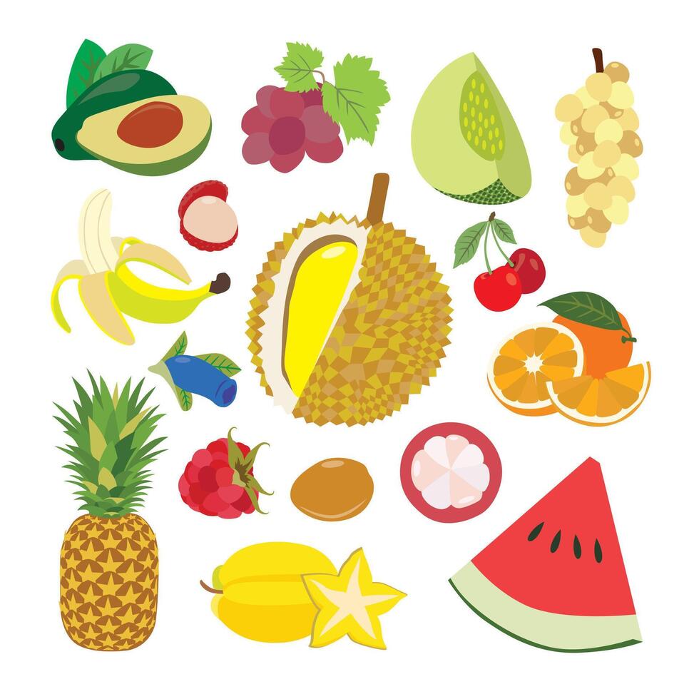 Tropical Fruits Extravaganza vector