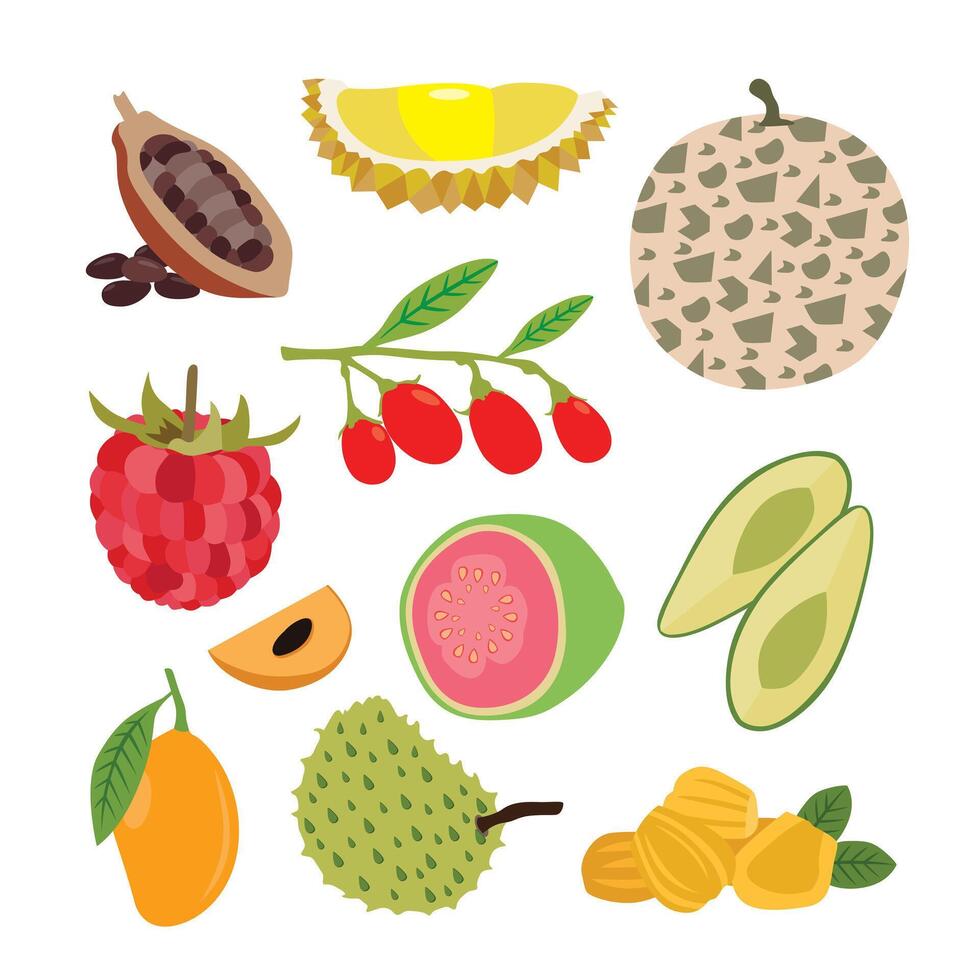 Exotic Tropical Fruits Collection vector