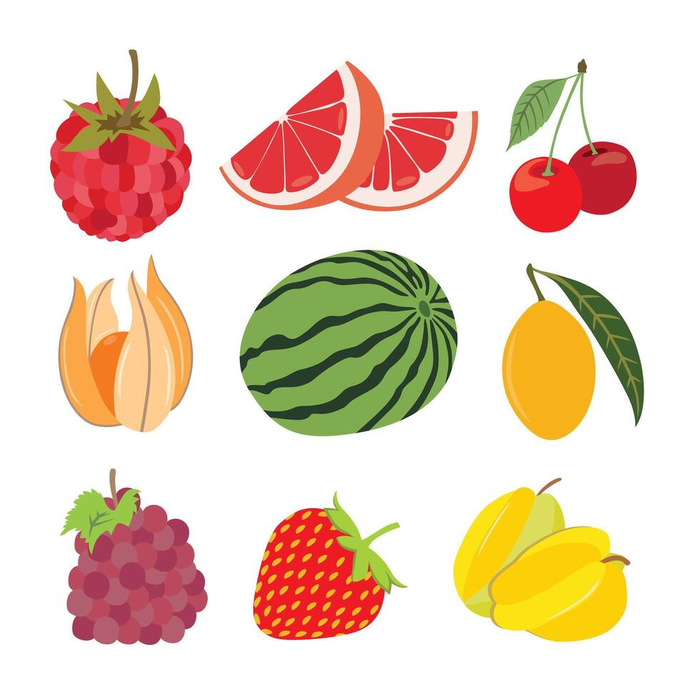 Vibrant Fruits from Around the World vector