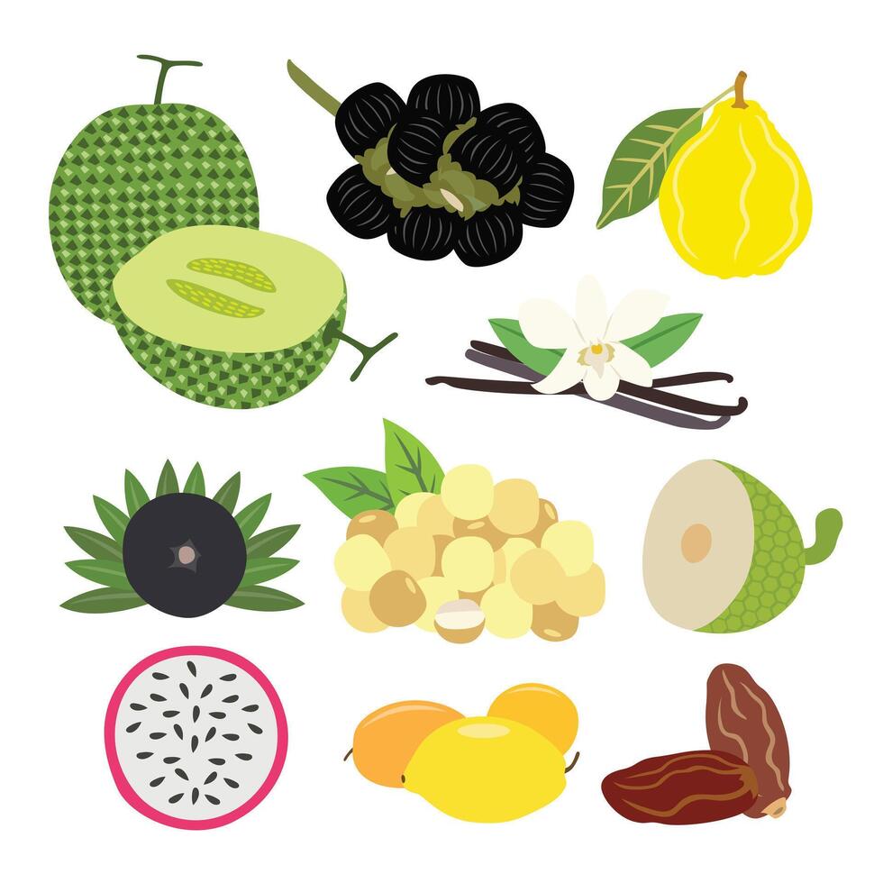 A Diverse Selection of Delicious Fresh Fruits vector