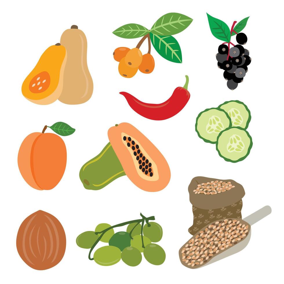A Vibrant Collection of Fruits and Veggies vector