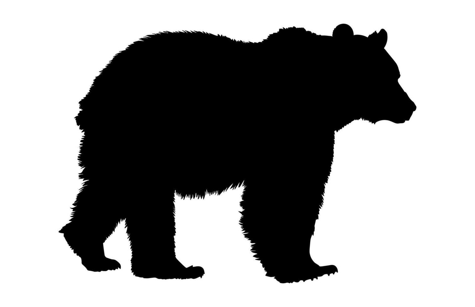 Grizzly Bear Walking Silhouette vector