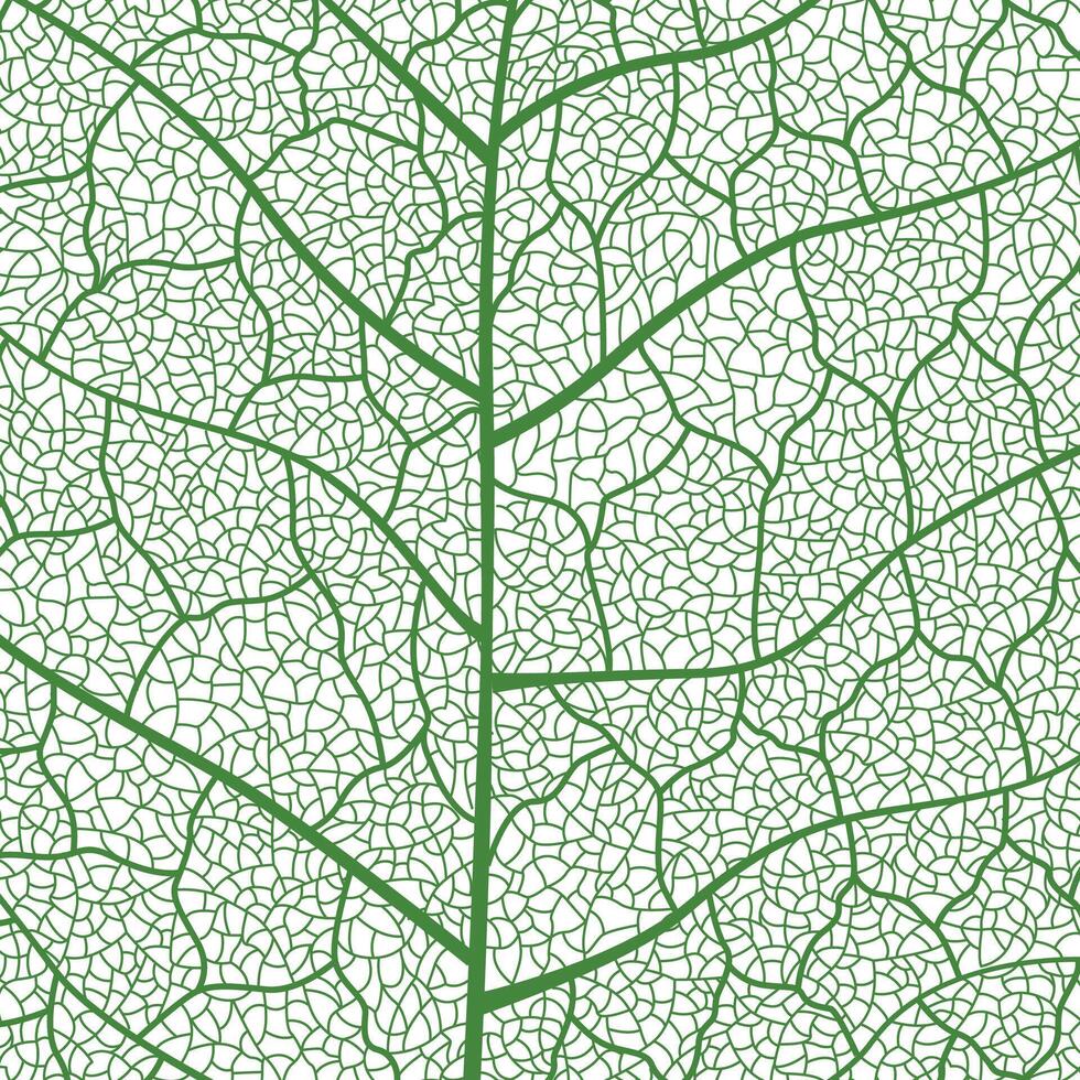Close-up green leaf texture with intricate details of leaf veins showcasing natures botanical textures and patterns vector