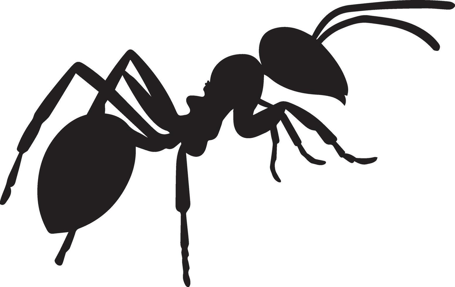 Ant silhouette illustration isolated with transparent background vector
