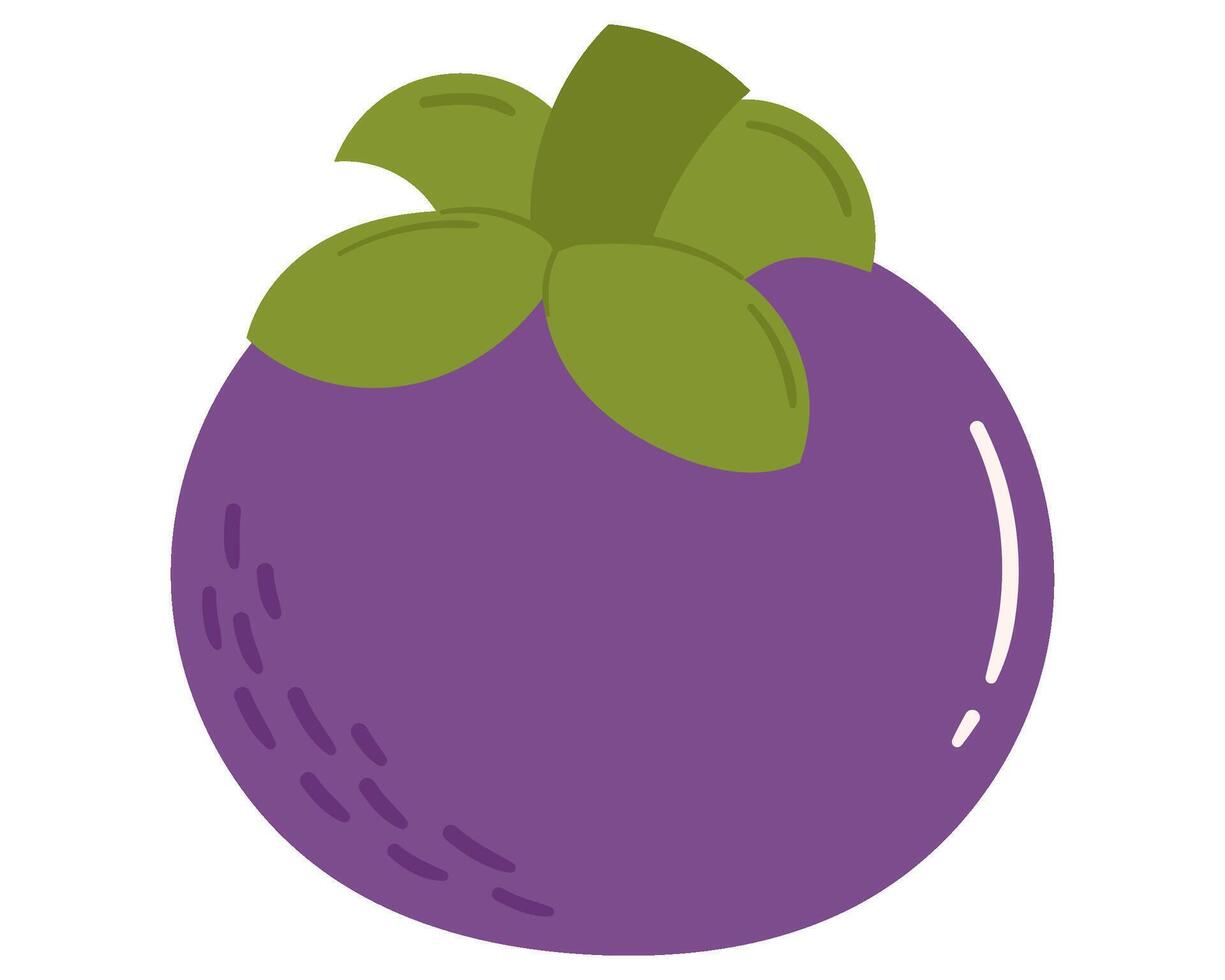 Fruit Mangosteen in cartoon hand drawn simple style. Editable variable color vector