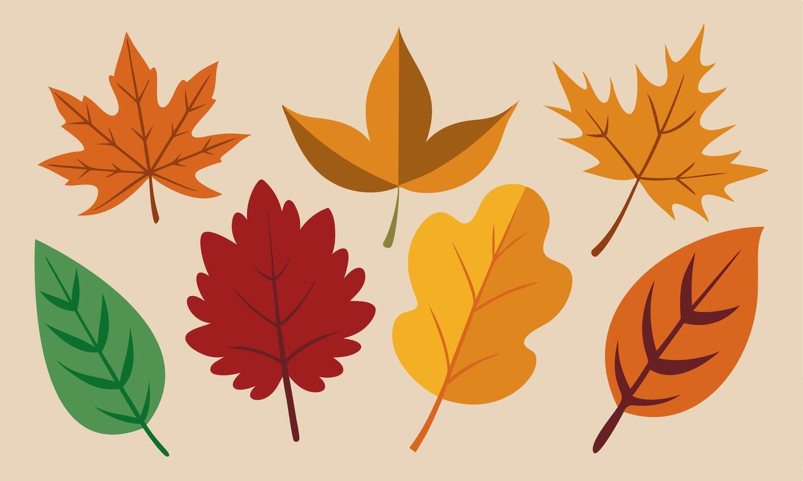 Autumn Leaves Design Elements, flat illustrations vector