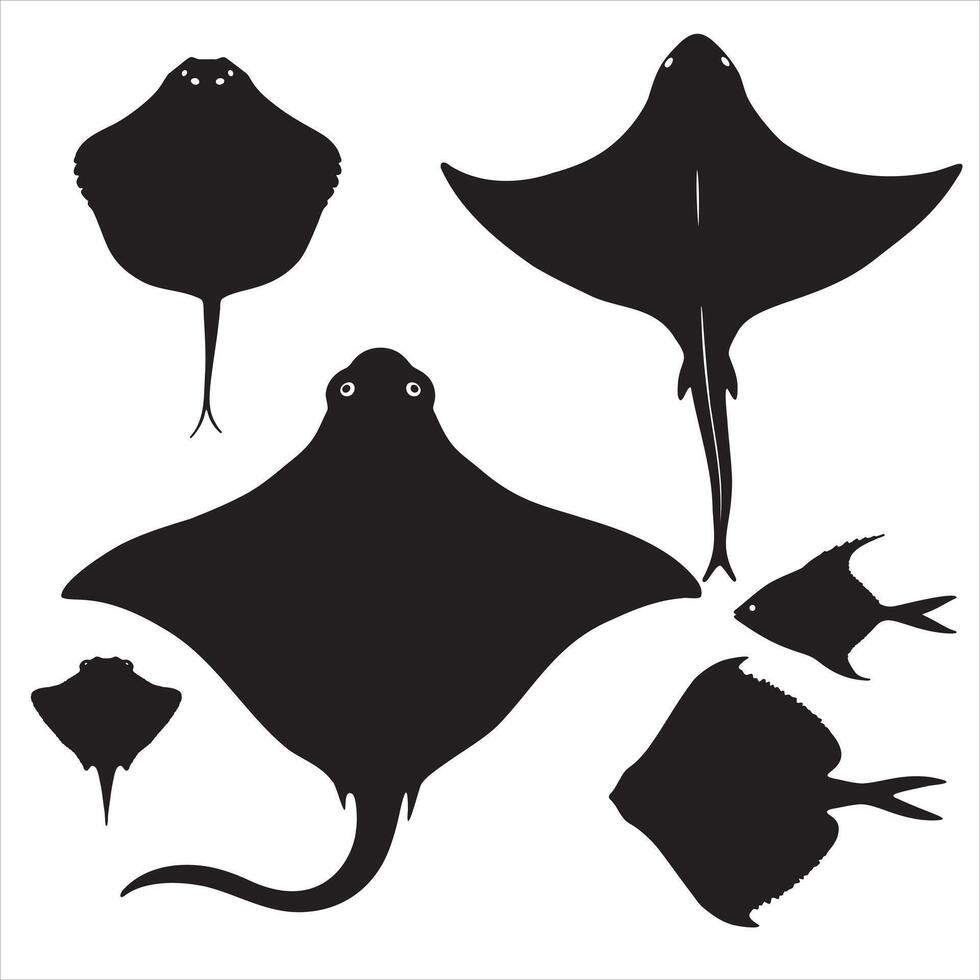 Silhouette set of Stingray Black and White Illustration vector